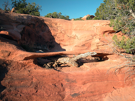 Log Jam Bridge, Eagle Park, Arches National Park, Utah