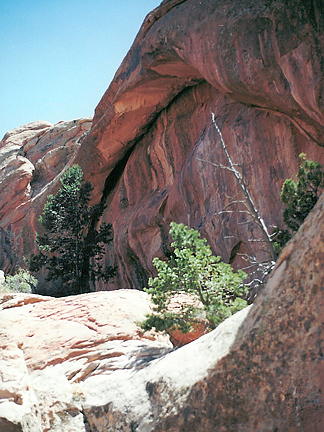 Pistol Arch, North Devils Garden, Arches National Park, Utah