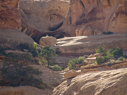 Snoop Arch, Davis Canyon, Needles District, Canyonlands National Park, Utah